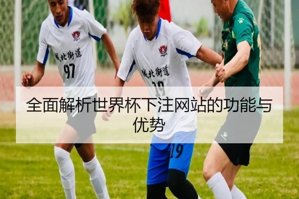全面解析世界杯下注网站的功能与优势
