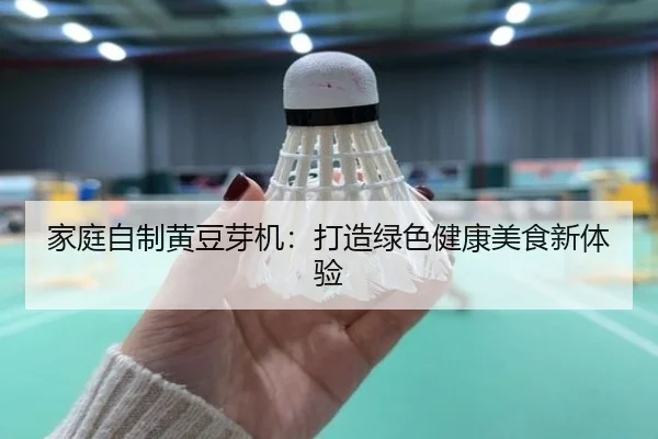 家庭自制黄豆芽机：打造绿色健康美食新体验