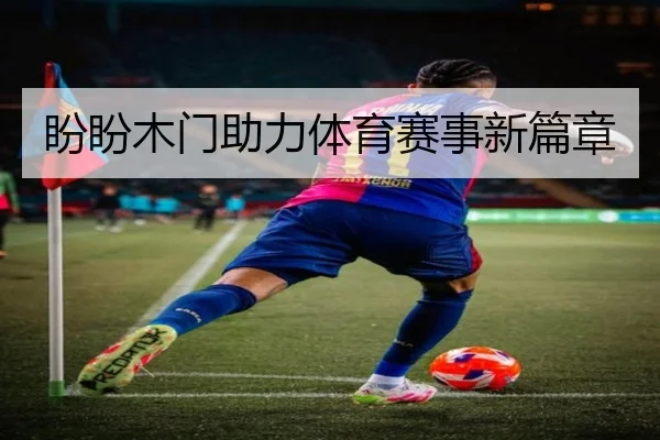 盼盼木门助力体育赛事新篇章