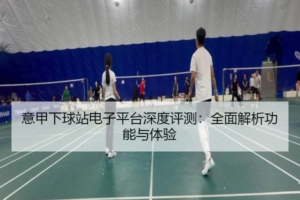 意甲下球站电子平台深度评测：全面解析功能与体验